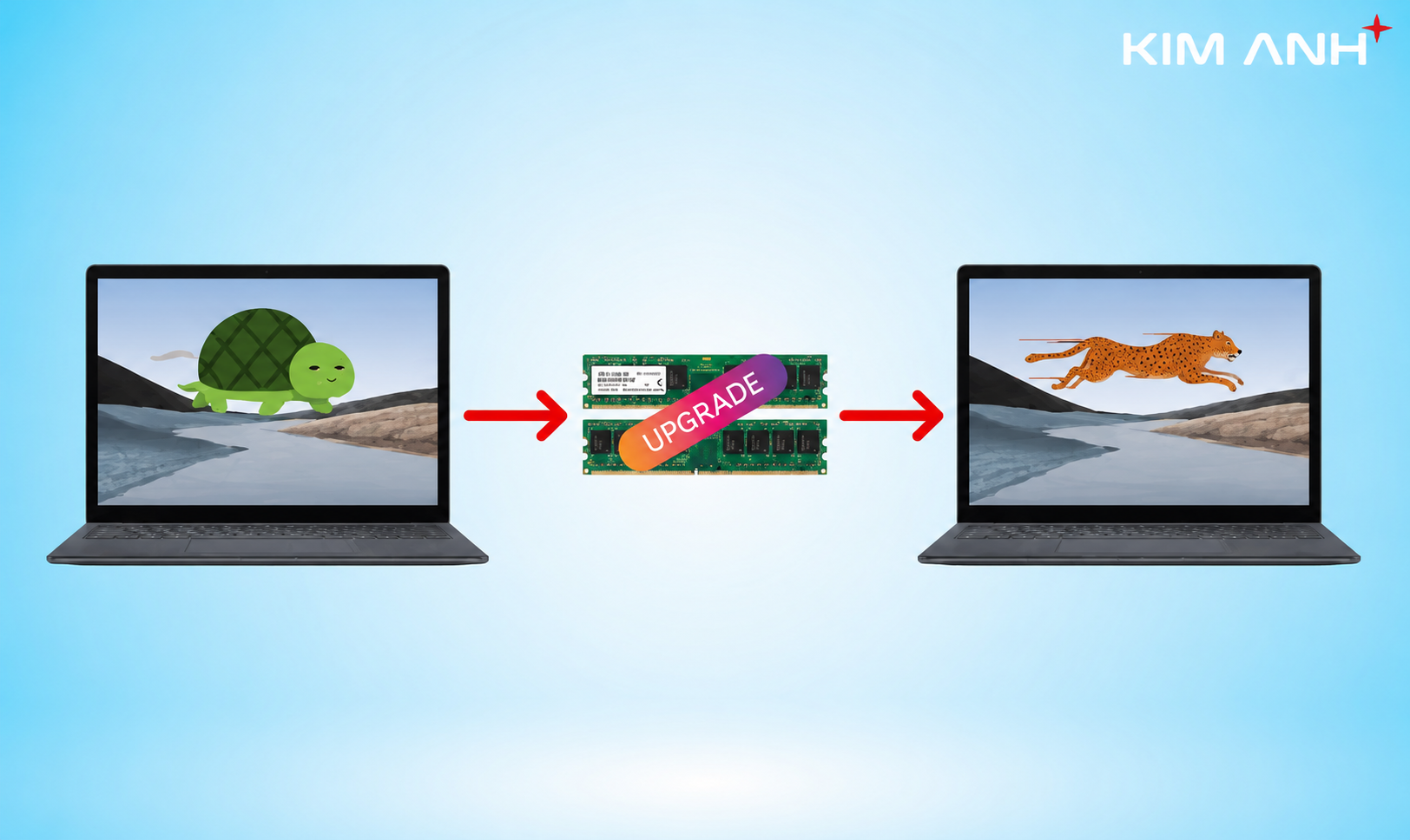Cách kiểm tra laptop có nâng cấp ram, ssd Cách kiểm tra laptop có nâng cấp ram, ssd