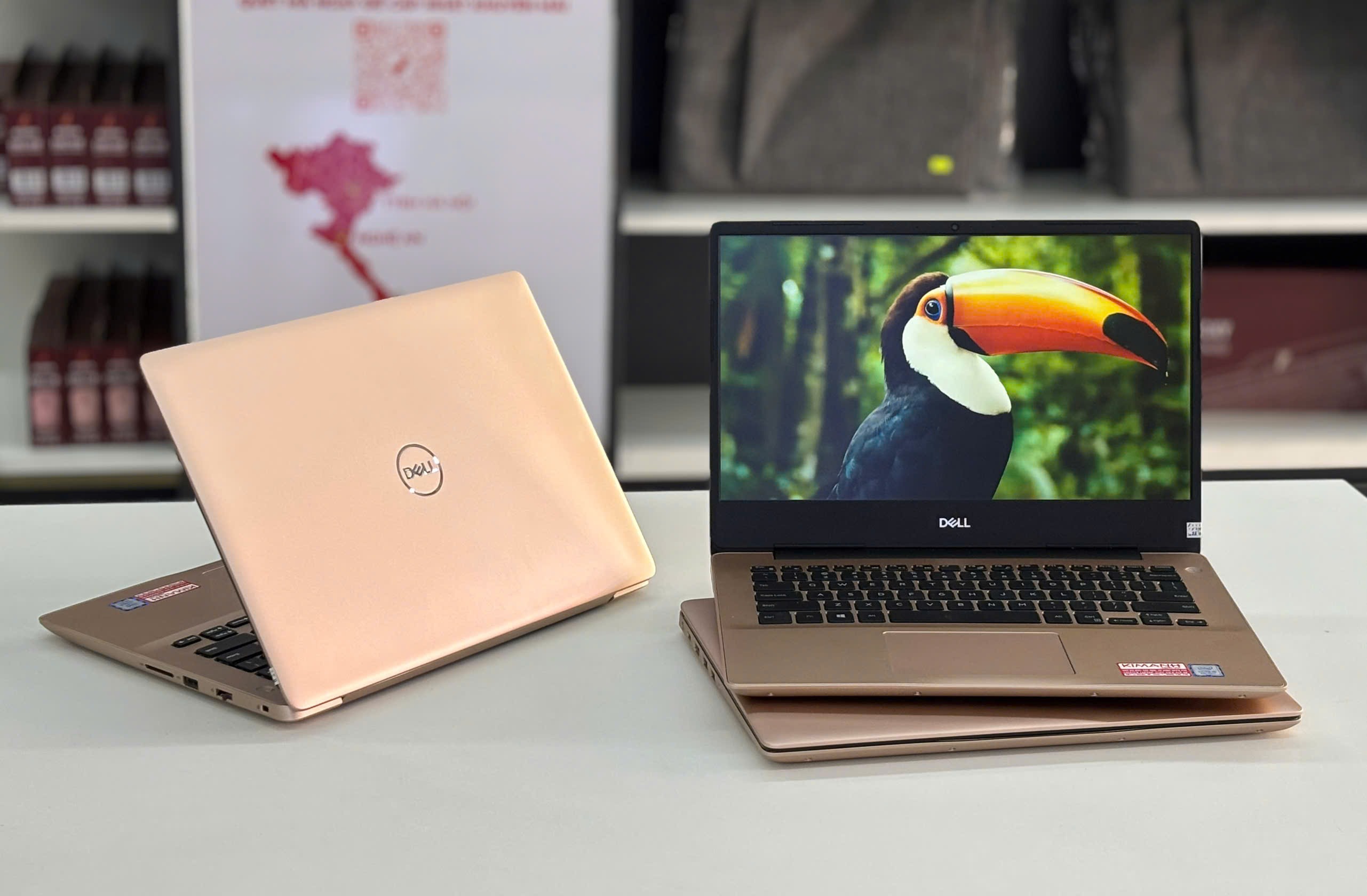 Laptop Cũ DELL Inspiron 5488 I5 - 8XXXU/RAM 8GB/SSD 256GB/FHD/VGA 